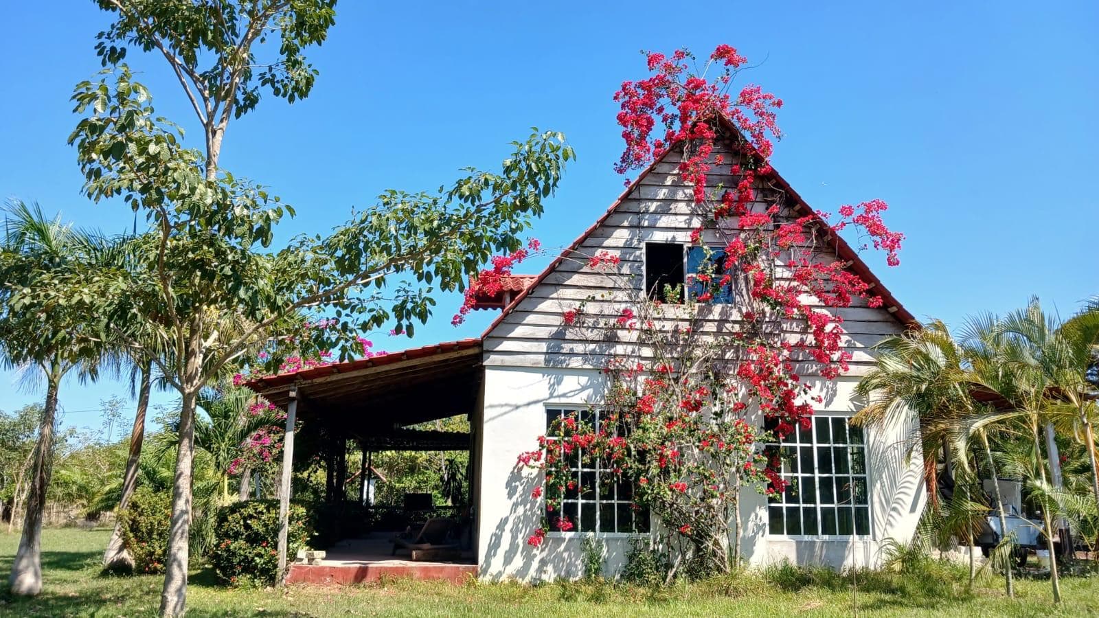 Foto de la boda al rancho